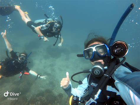 Idckohato PADI IDC In Koh Tao At Crystal Dive Offers You The