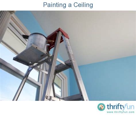 Painting A Ceiling Room Paint Diy Paint Projects Diy Home Repair