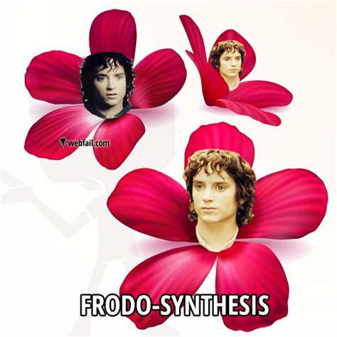 Frodo Synthesis Fun Picture Webfail Fail Pictures And Fail Videos