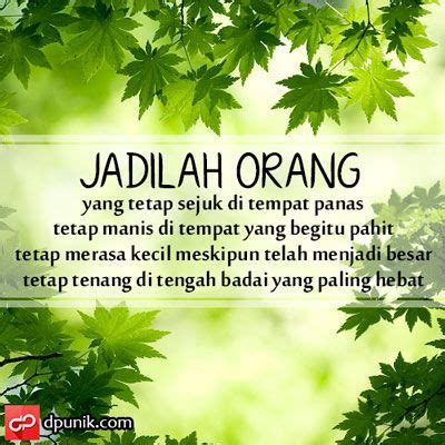 Sebaliknya banyak orang yang kondisi kehidupannya lebih baik dari kita tapi menderita. Kata Kata Bijak Tentang Pahitnya Kehidupan - Healthy Life ...