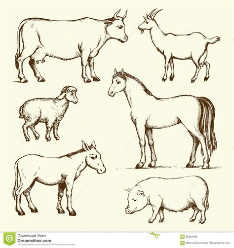 Farm Animals Sketch At Explore Collection Of Farm