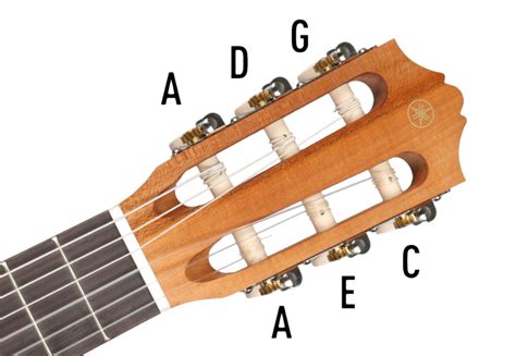 How To Tune Up Play A Guitarlele Bax Music Blog