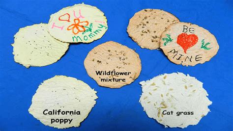 Make Seed Paper Nasa Climate Kids