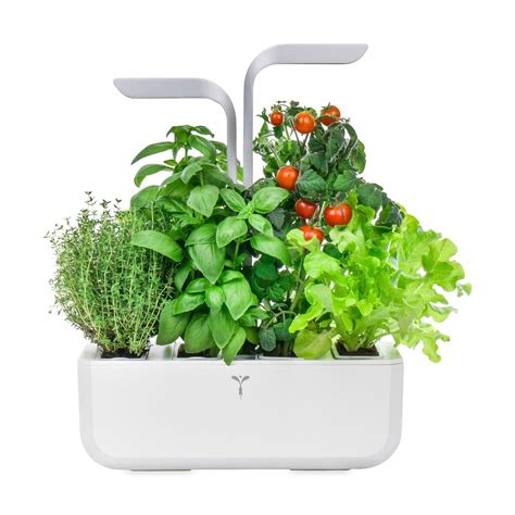 Remarkable Aquaponic System In 2020 Vertical Herb Garden Home