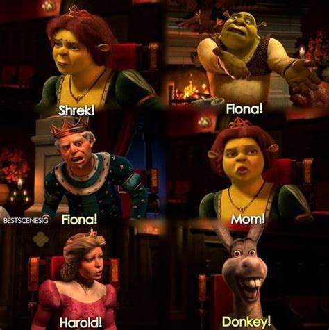 Shrek Shrek Fiona Shrek Funny Movies