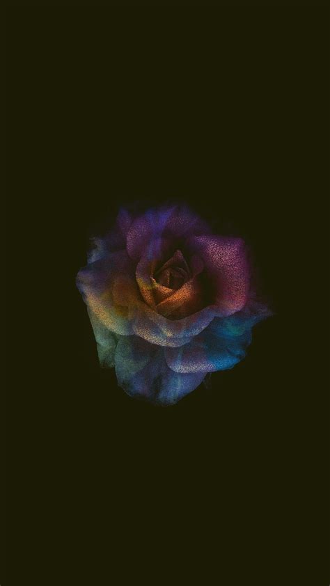 Amoled Rose Wallpapers Wallpaper Cave