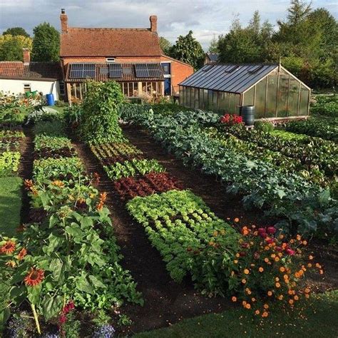 Vegetable Gardening For Beginners Backyard Cottage Garden