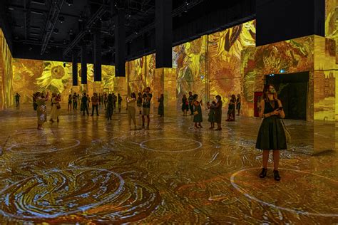Get Your Tickets Now For This Immersive Van Gogh Exhibit Choose Chicago