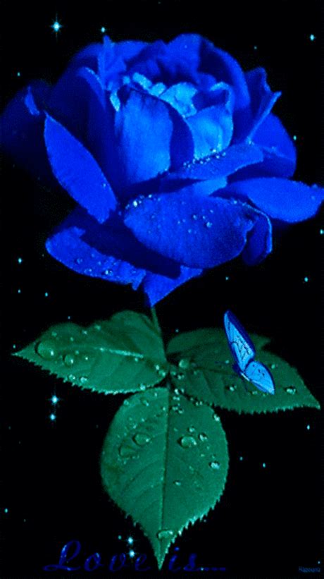 Blue Flower Animated Pictures