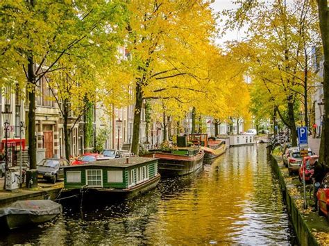 Amsterdam Autumn Photo Fall Bicycle Photo Fine Art Etsy Amsterdam