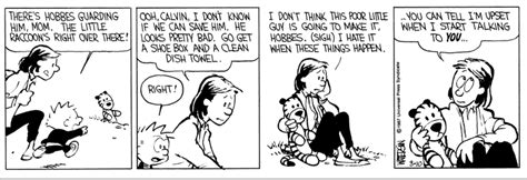Calvin And Hobbes Can Be Real Cursed At Times Rcalvinandhobbes
