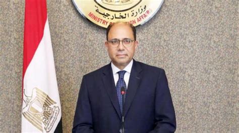 Egypt Appoints New Foreign Ministry Spokesperson