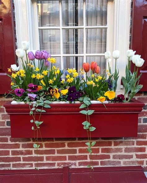 We offer window box brackets for railings of all sizes and materials, including options like a drape and shelf configuration, or deck rail brackets that bolt to the back of the window box. 20 Best Flowers for Window Boxes - What to Plant in a ...