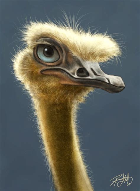Ostrich Painting Ostriches Animals Animal Paintings