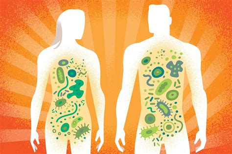 Riesgos Y Beneficios De Las Bacterias Para El Ser Humano Estos