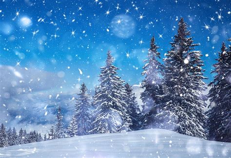 Beautiful Blue Sky Winter Snow Christmas Trees Backdrop Gx 1076 Dbackdrop