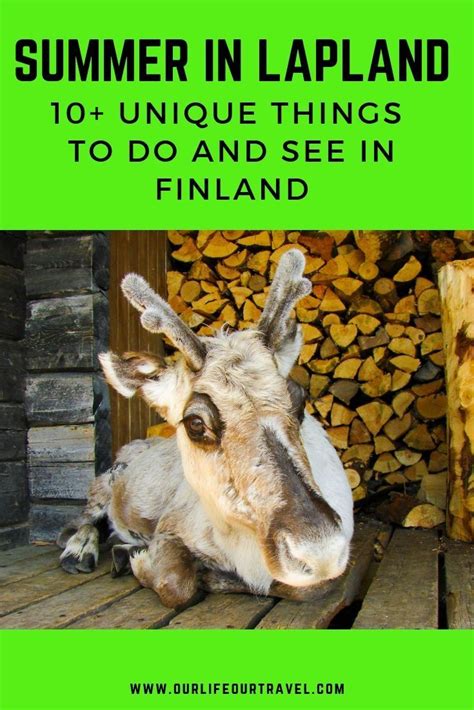 Summer In Lapland Summer Activities In Finnish Lapland Things To Do