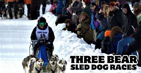Three Bear Sled Dog Races Land Olakes Town Hall Land O Lakes