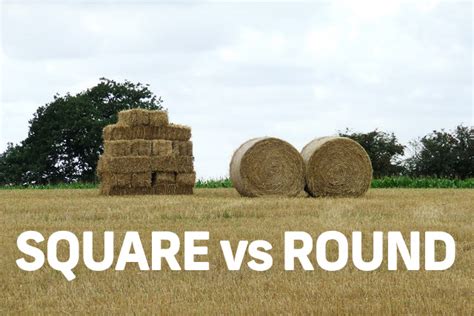 Round Bales Vs Large Square Bales What Shape Is The Best For Your