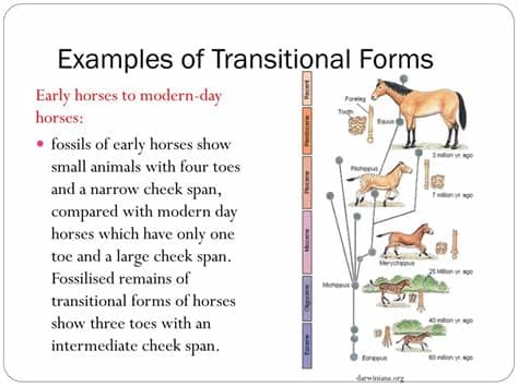 PPT - Blueprint of Life Topic 4 : Evidence to Support the ...