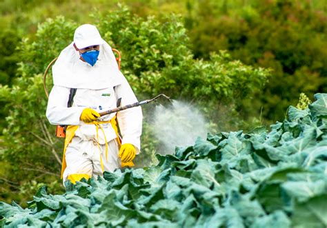 Two Thirds Of Agricultural Land Globally Are At Risk Of Pesticide Pollution