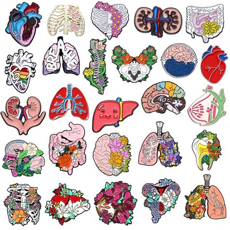 Medical Organs Enamel Brooch Heart Chest Brain Stomach Spine Women