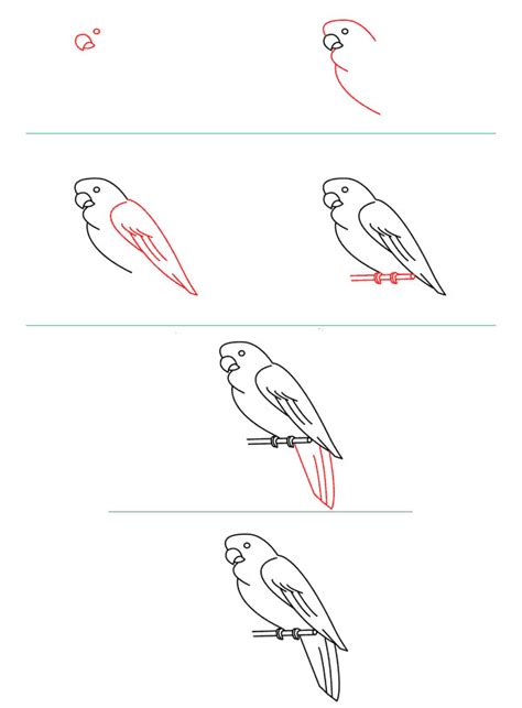 Kako Nacrtati Papagaja Slika Kako Nacrtati Papagaja 42