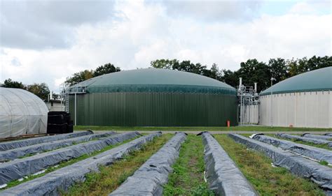 Surging Uk Biogas Industry Eyes 78twh Output Ends Waste And Bioenergy
