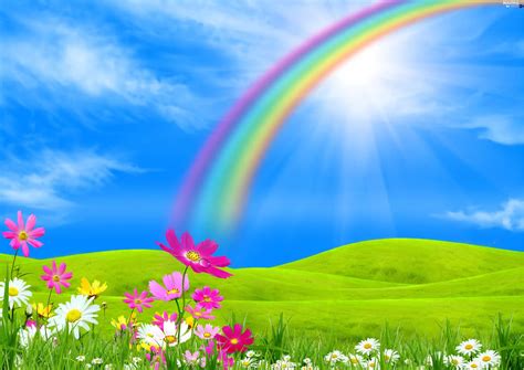 Sky Flowers Great Rainbows Meadow Beautiful Views Wallpapers