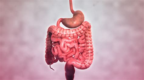 Crohns Disease Scientific Animations