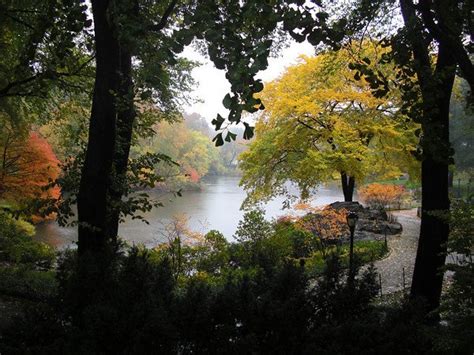 You will emerge with a happy glow, too chilled out to care about. Photo entry: a rainy fall day in Central Park
