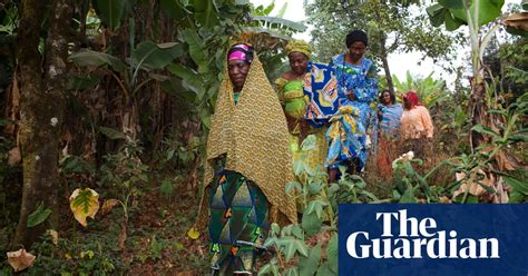 The Women Beekeepers Of Cameroon In Pictures World News The Guardian