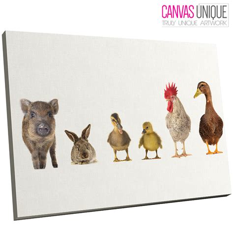 Maybe you would like to learn more about one of these? A171 white cute farm animals collage Animal Canvas Wall ...