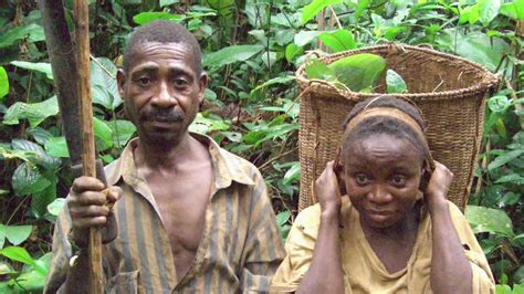 Top 8 largest forests in africa welcome to displore and thanks for watching. Baka in the Forest - yelli, yodels, forest harp and water ...