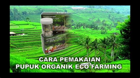CARA PEMAKAIAN PUPUK ECO FARMING YouTube