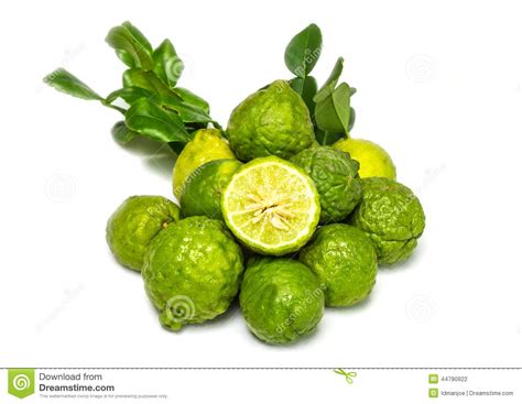 Kaffir Lime Stock Photo Image Of Delicious Fresh Lemon 44790922