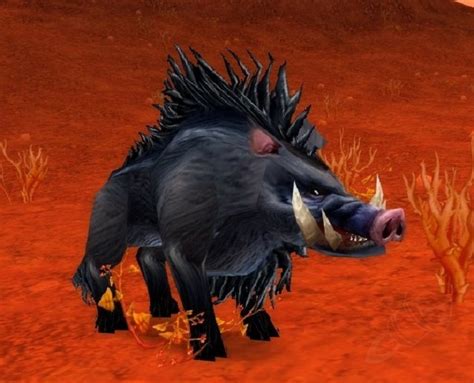 Hunter Class Quests in Classic WoW - Tame Beast and First ...