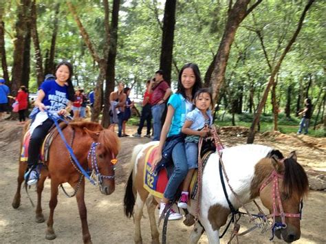 Baguio On Horseback Review Of Riding Stable At Wright Park Baguio