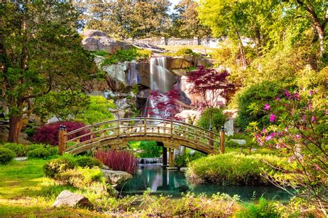 10 Gorgeous Botanical Gardens In Virginia Arboretums