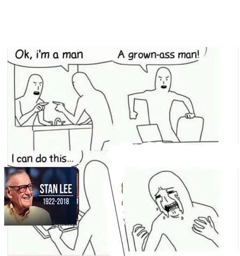 Im Not Crying You Are Stan Lee Know Your Meme