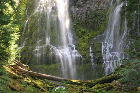 Proxy Falls Three Sisters Wilderness Oregon Usa