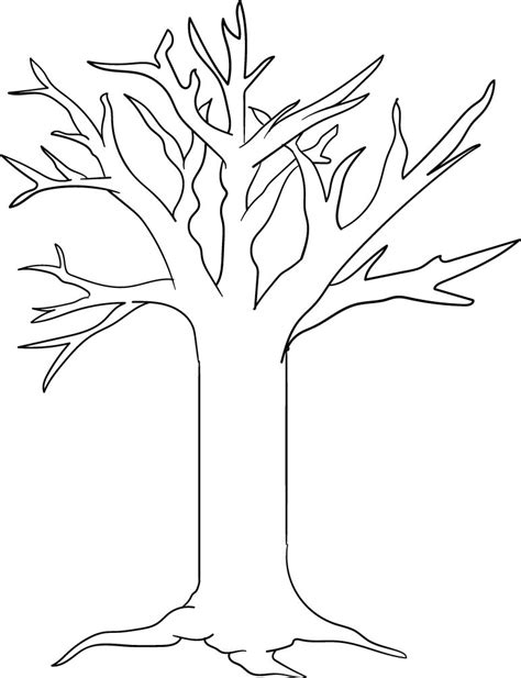 Tree Template With Branches