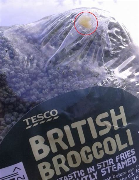 Is This A Maggot In A Tesco Broccoli Woman Outraged After Finding Creepy Crawly In Shopping