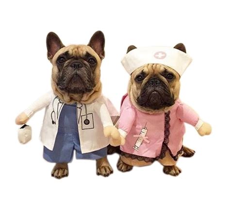Cute Dr And Nurse Dog Costume Funny Pet Costumes Pet Costumes For