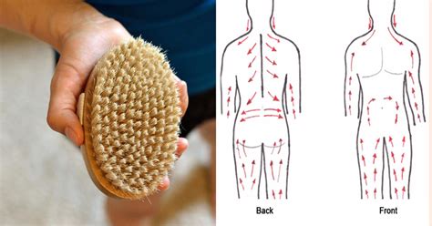 dry skin brushing benefits flawless skin cellulite reduction and more alitura