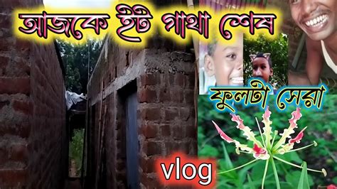 Bengali Village Vlogs Videoআজকে ইট গাথা শেষ হলো😃 এই ফুলটা সেরা👍💯