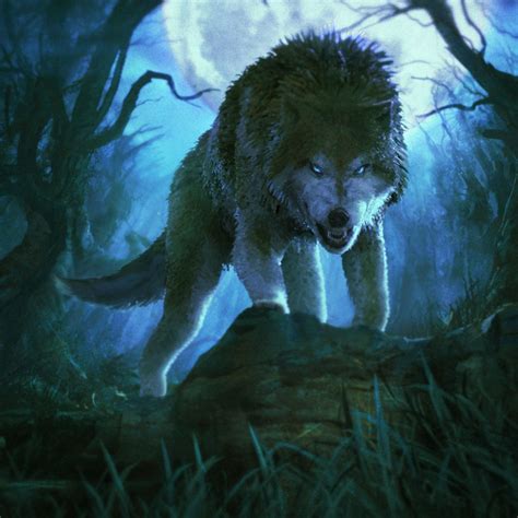 Angry Wolf Ooki Angry Wolf Wolf Artwork Wolf Spirit Animal