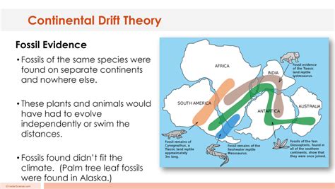 Savesave continental drift for later. CONTINENTAL DRIFT THEORY LESSON PLAN - A COMPLETE SCIENCE ...