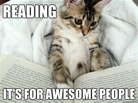 Reading Its For Awesome People Reading Kitty Quickmeme