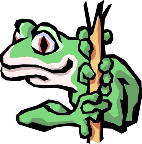 Green Tree Frog Vector Image